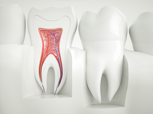 Addison Dental Studio | Veneers, Root Canals and Dental Fillings