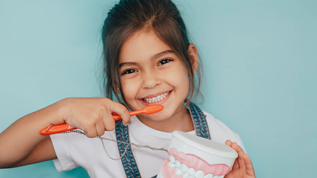 Addison Dental Studio | Emergency Treatment, Intraoral Camera and Dental Cleanings